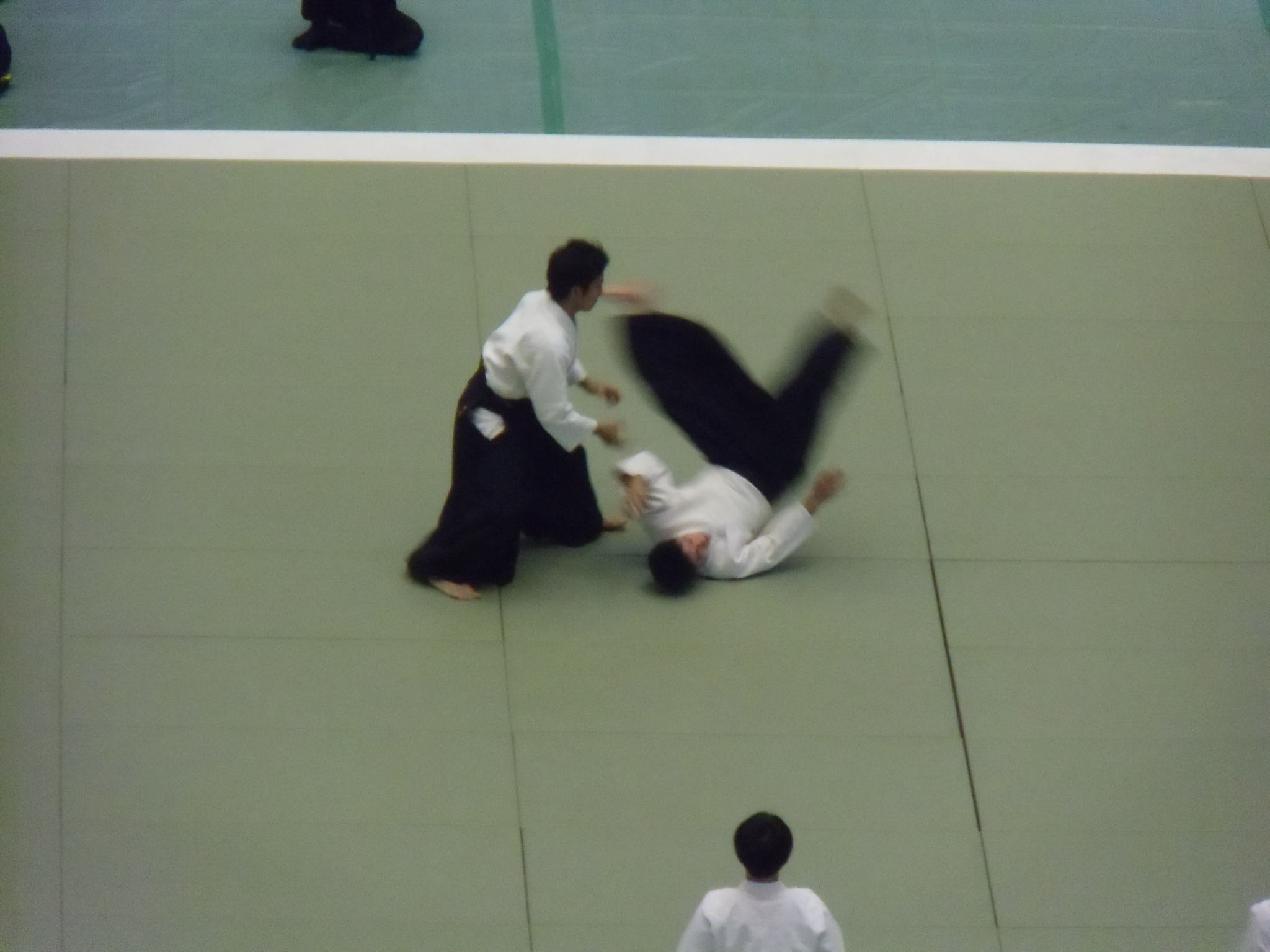 全日本合気道演武大会